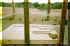 thdeck1.jpg (88173 bytes)