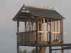 thhouse_jun01.jpg (56162 bytes)